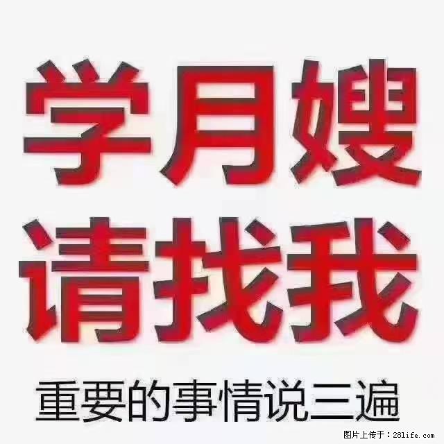 【招聘】月嫂，上海徐汇区 - 职场交流 - 南通生活社区 - 南通28生活网 nt.28life.com