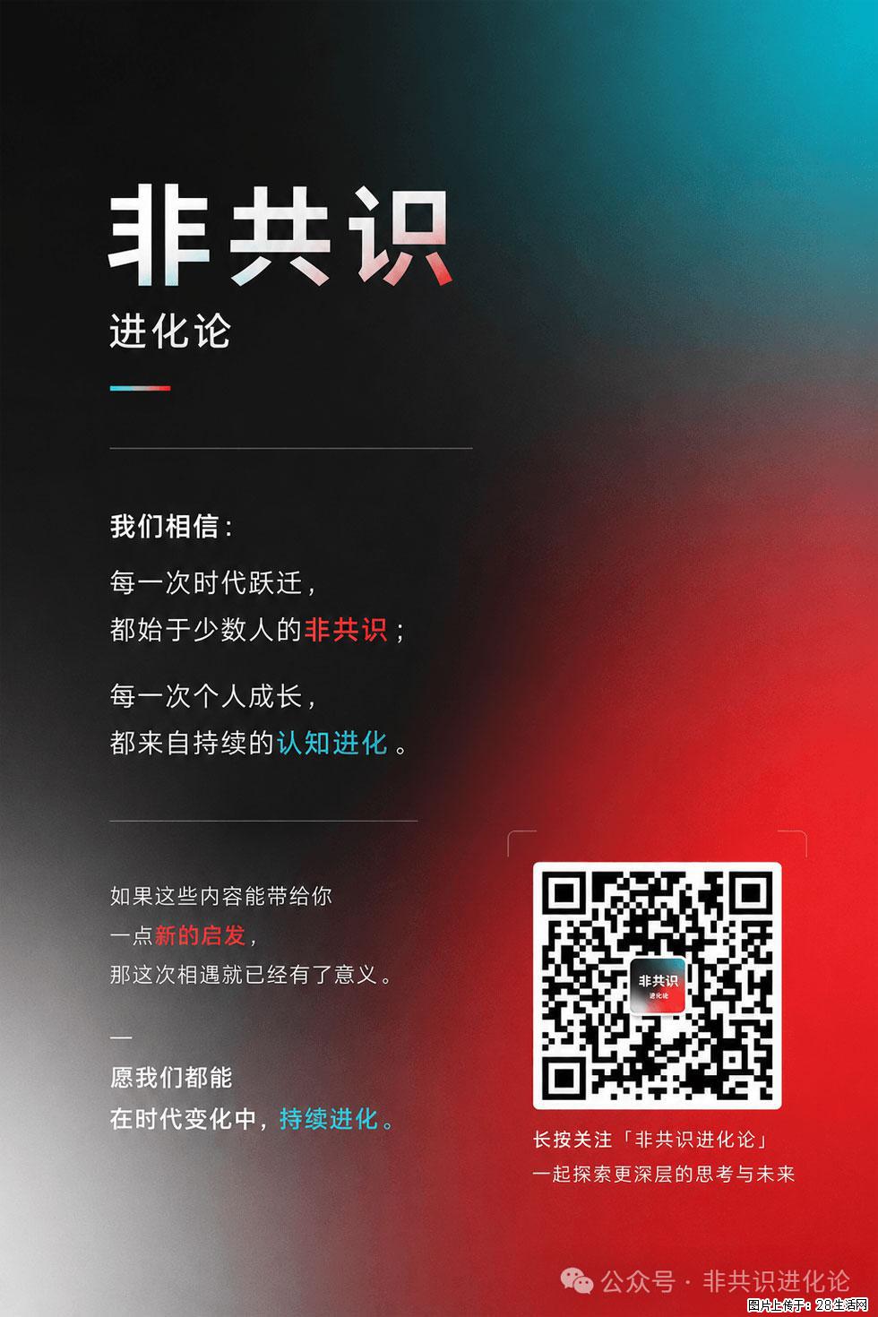AI不会淘汰程序员,但会改变程序员的成长路径 - 职场交流 - 南通生活社区 - 南通28生活网 nt.28life.com