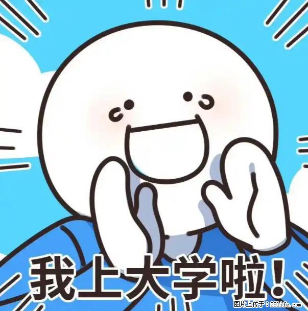 家长必看!五年制专转本选校指南:公办民办精准匹配 - 新手上路 - 南通生活社区 - 南通28生活网 nt.28life.com