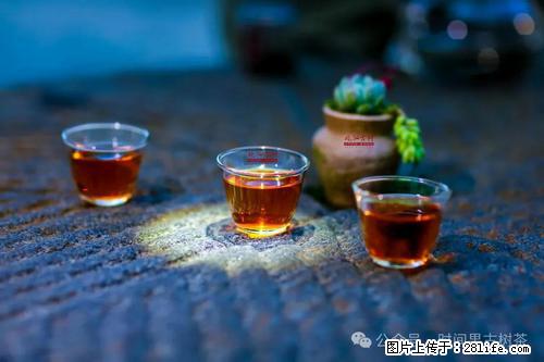 时间果百年古树2025年春红茶 - 购物交流 - 南通生活社区 - 南通28生活网 nt.28life.com