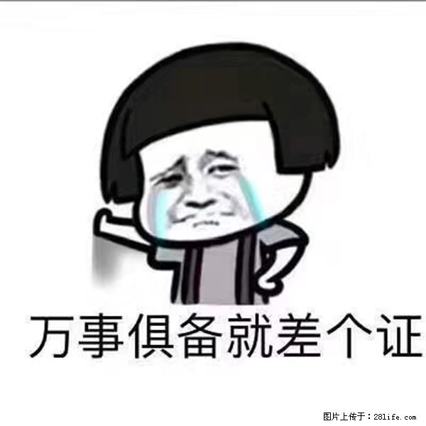 南通瀚宣博大五年制专转本培训——基础到冲刺全程护航实现本科梦 - 综合信息 - 其他综合 - 南通分类信息 - 南通28生活网 nt.28life.com