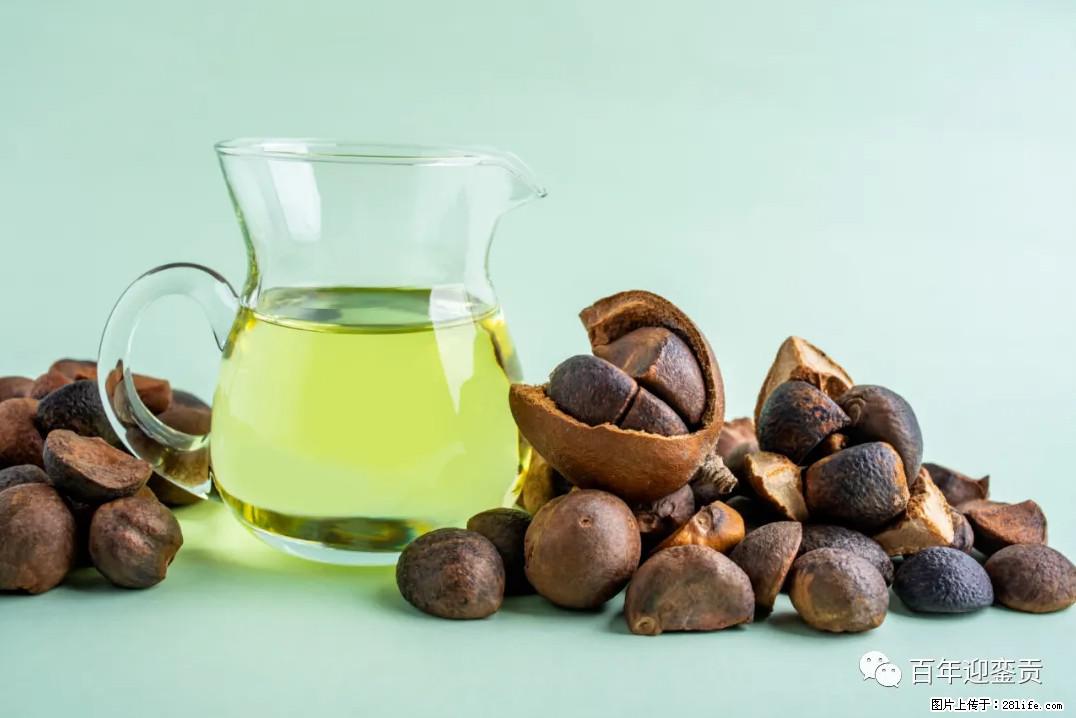 世界没有真相，只有认知，最好的食用油是中国的山茶油！ - 南通生活资讯 - 南通28生活网 nt.28life.com