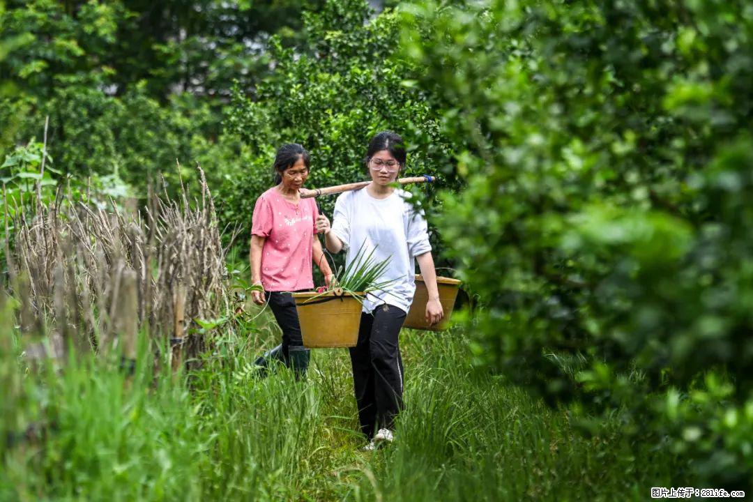 全网追的“扁担女孩”，找了一份暑假工，时薪12元 - 南通生活资讯 - 南通28生活网 nt.28life.com