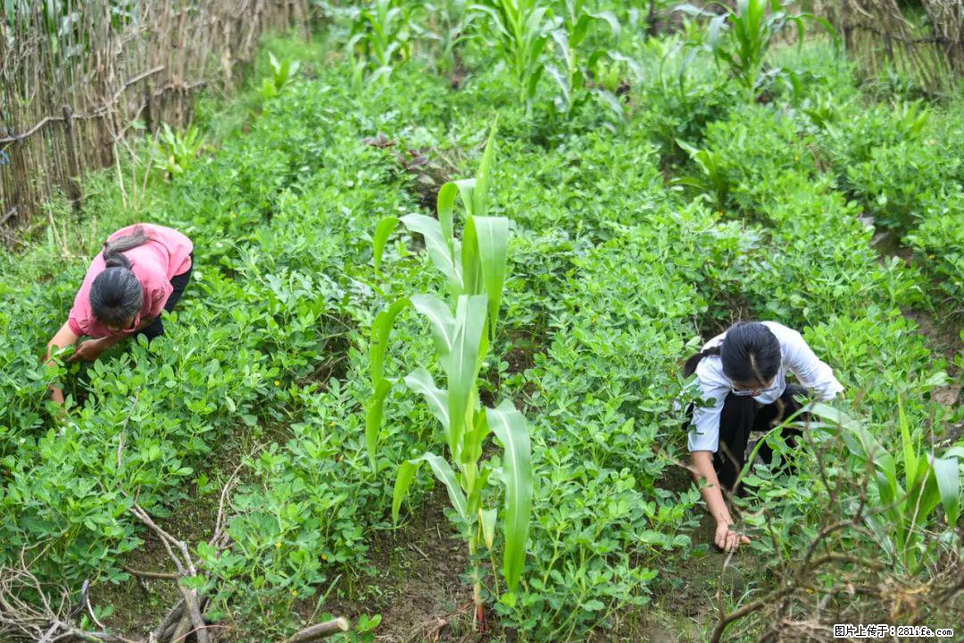 全网追的“扁担女孩”，找了一份暑假工，时薪12元 - 南通生活资讯 - 南通28生活网 nt.28life.com