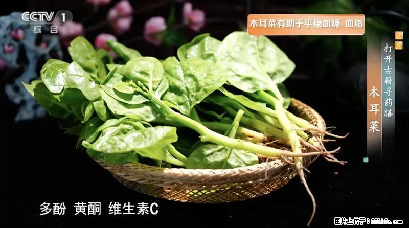 比牛奶补钙还厉害!凉血解毒、稳血糖...这菜冬天必吃,很多人却当草 - 南通生活资讯 - 南通28生活网 nt.28life.com