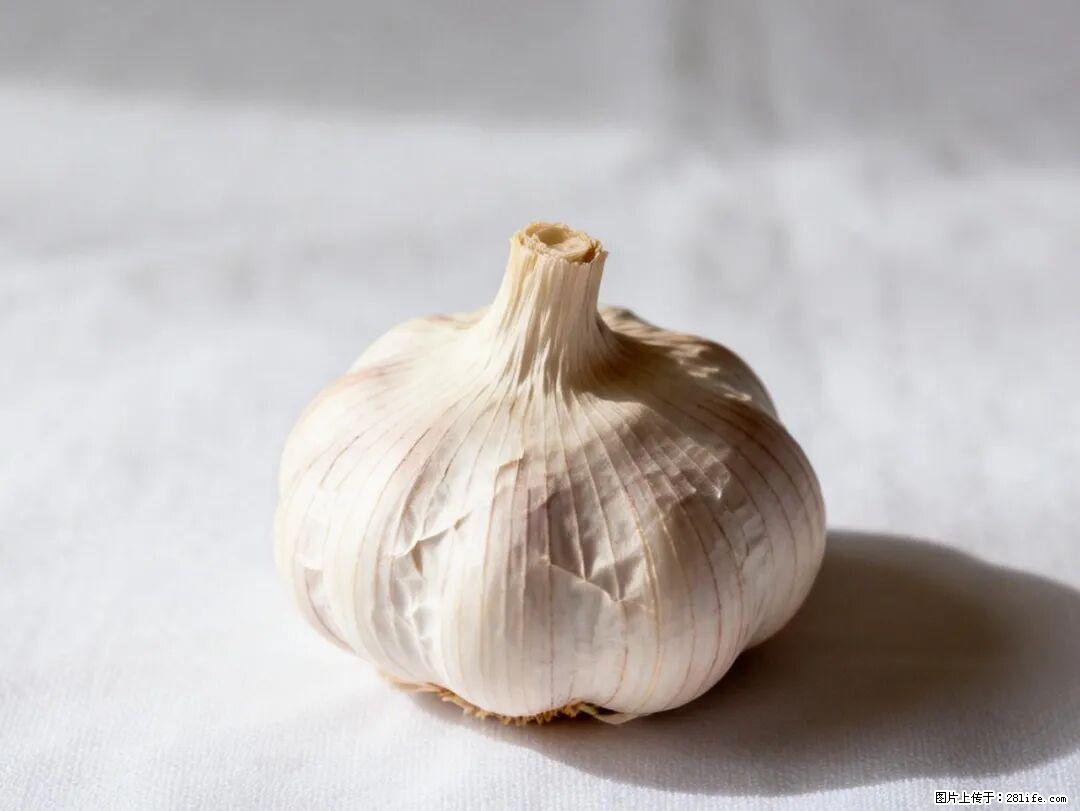 关于大蒜，除了“天然抗生素”，这4个谣言更该警惕! - 南通生活资讯 - 南通28生活网 nt.28life.com