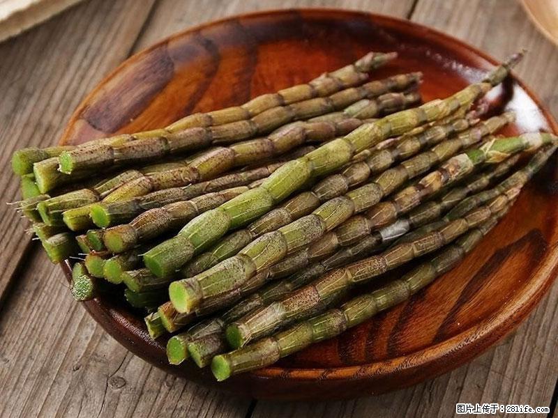 铁皮石斛的作用与功能主治 - 南通生活资讯 - 南通28生活网 nt.28life.com