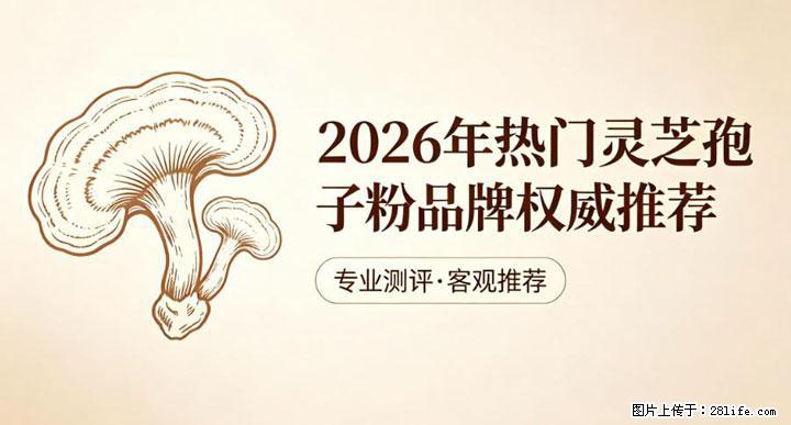灵芝孢子粉含量越高越有效？2026 年七款热门品牌深度实测，肠胃敏感者避坑指南 - 南通生活资讯 - 南通28生活网 nt.28life.com