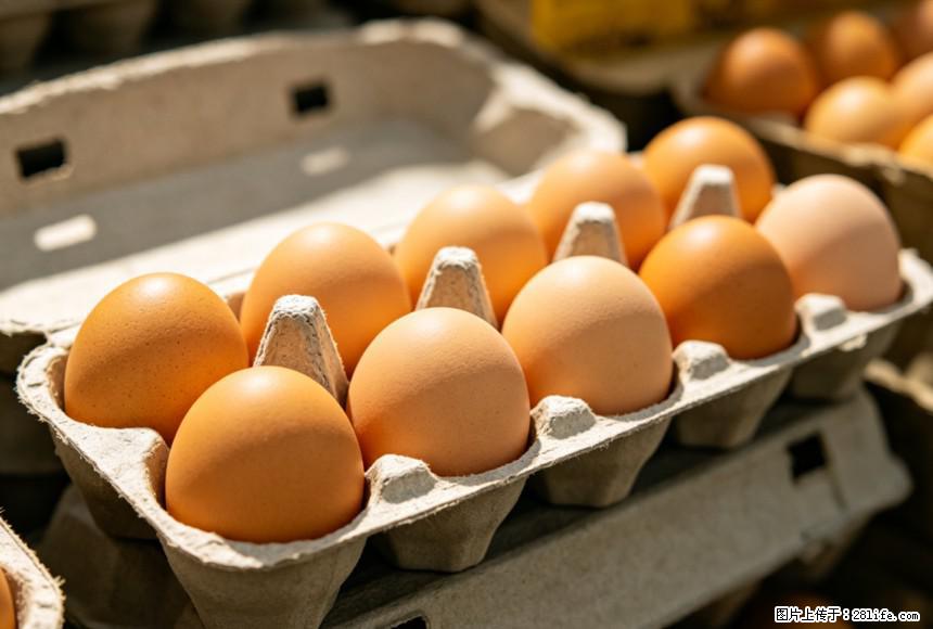 每天吃1个鸡蛋，全身收获9大好处！ - 南通生活资讯 - 南通28生活网 nt.28life.com