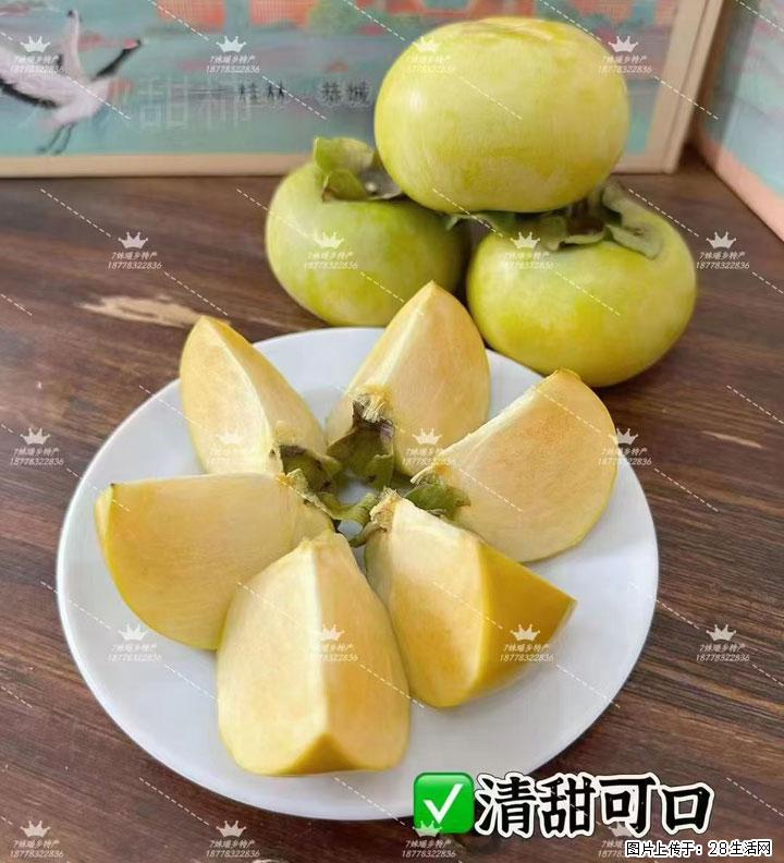 广西桂林平乐桥亭【红心猕猴桃】、【大秋甜柿】上市啦，欢迎各位新老客户下单（另有少量小果出售） - 南通生活资讯 - 南通28生活网 nt.28life.com